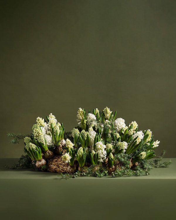 Köp blommor med hemleverans - Hyacint Bordskrans