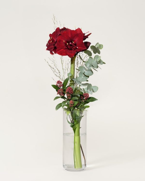 Skicka blomsterbud via Interflora - Amaryllislyx